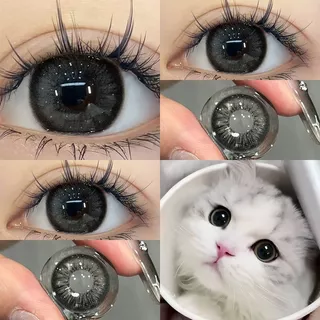 Midroo คอนแทคเลนส์สีกรองแสงคอนเทค Thai Tea Gray/Black เลนส์บิ๊กอาย-14.5mm