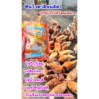 ซันไวตามินพลัส2 จำนวน3กิโล วิตามินไก่ไข่ เป็ดไข่ นกกระทาไข่ โดยเฉพาะ ของแท้จากสำนักงานใหญ่้