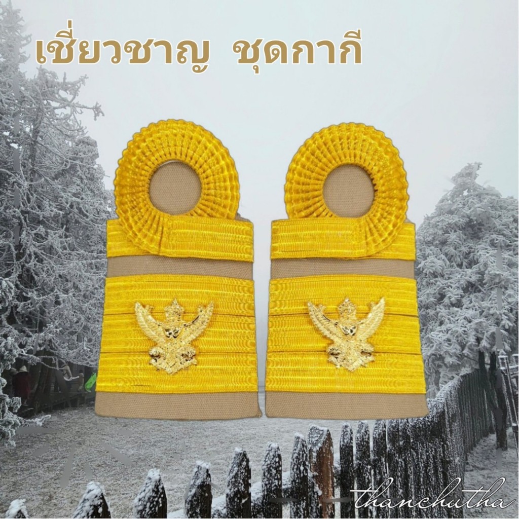 อินทรธนู ขีดเชี่ยวชาญ ระดับ 9-12 ดิ้นอินเดีย