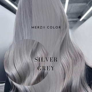 MERZii Color สีเทาอ่อน Silver grey 🦭🦭🦭(พื้นผมระดับ 10)