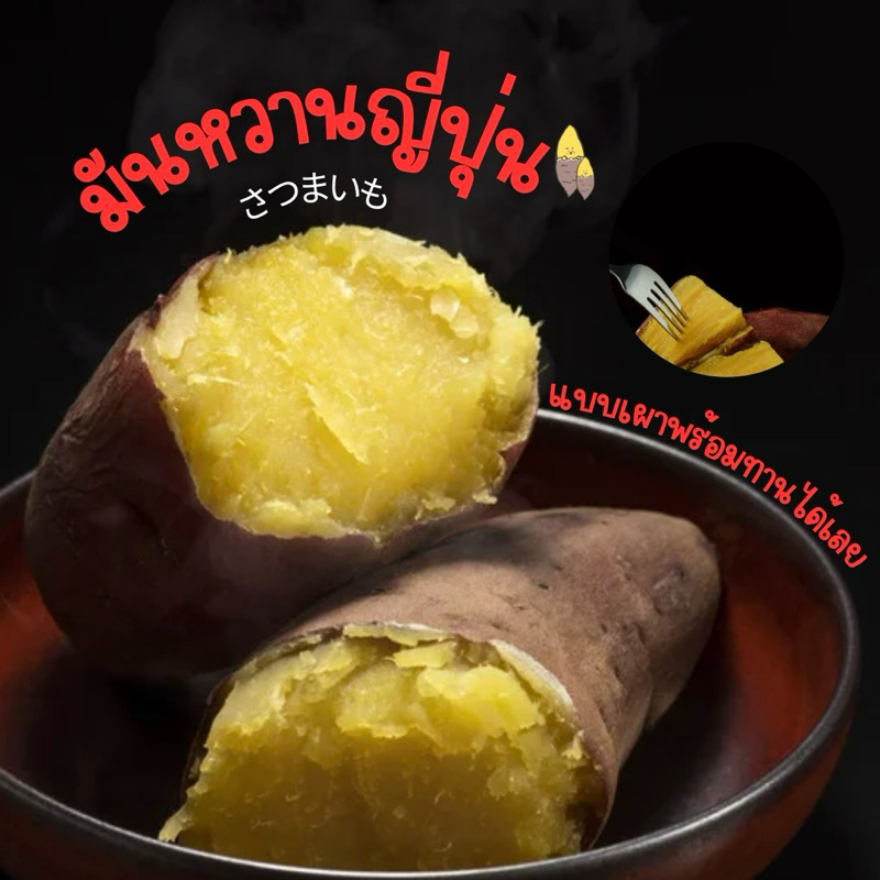 มันหวาน Beni Haruka เผาพร้อมทาน สดๆ
