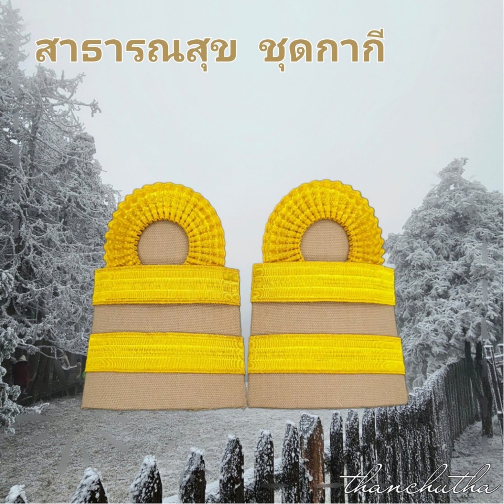 อินทรธนู กระทรวงสาธารณสุข ขีดพนักงาราชการ 2 ขีด ดิ้นอินเดีย