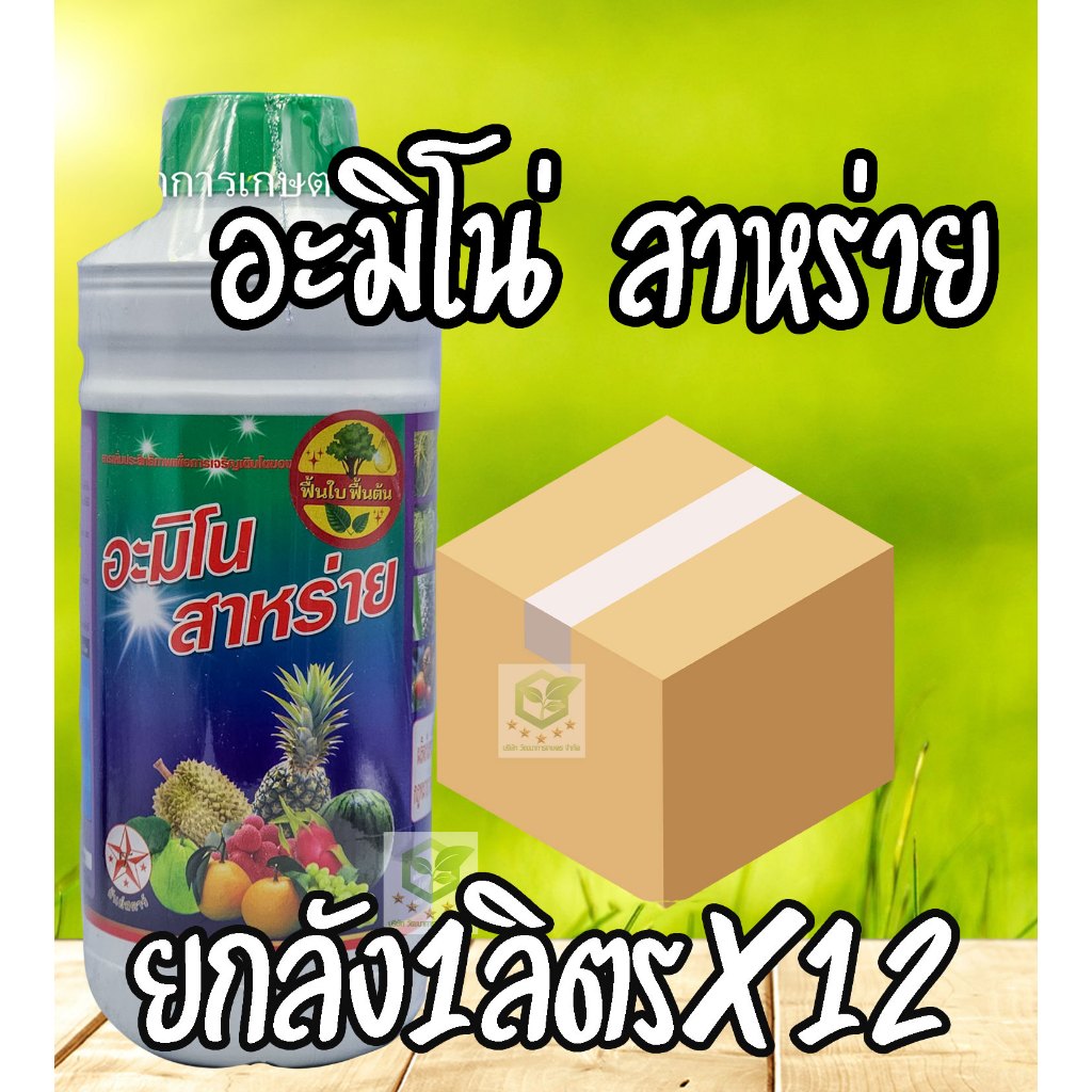 / ยกลัง12ขวด / อะมิโน สาหร่าย ขนาด1ลิตร สร้างใบ เปิดตาดอก สร้างใบใหม่ ลดการหลุดร่วง แมมมอท ฟองดู  เกอร์มาพลัส