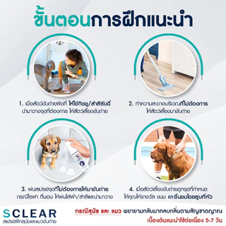 สเปรย์ฝึกสุนัขขับถ่าย ฝึกแมวขับถ่าย สูตรเข้มข้น ฝึกหมาและแมวขับถ่าย เพียงพ่น (เก็บเงินปลายทางได้ ส่งไว) ฝึกสัตว์เลี้ยง