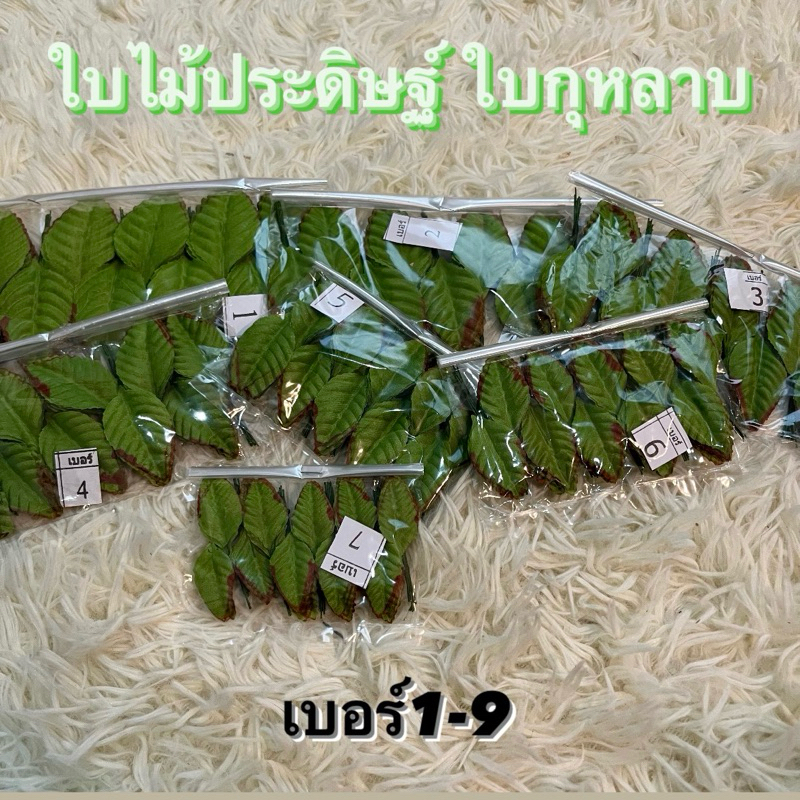 ใบกุหลาบผ้า ใบไม้ประดิษฐ์ ใบไม้ปลอม  เบอร์1-9 บรรจุ100ใบ/ห่อ