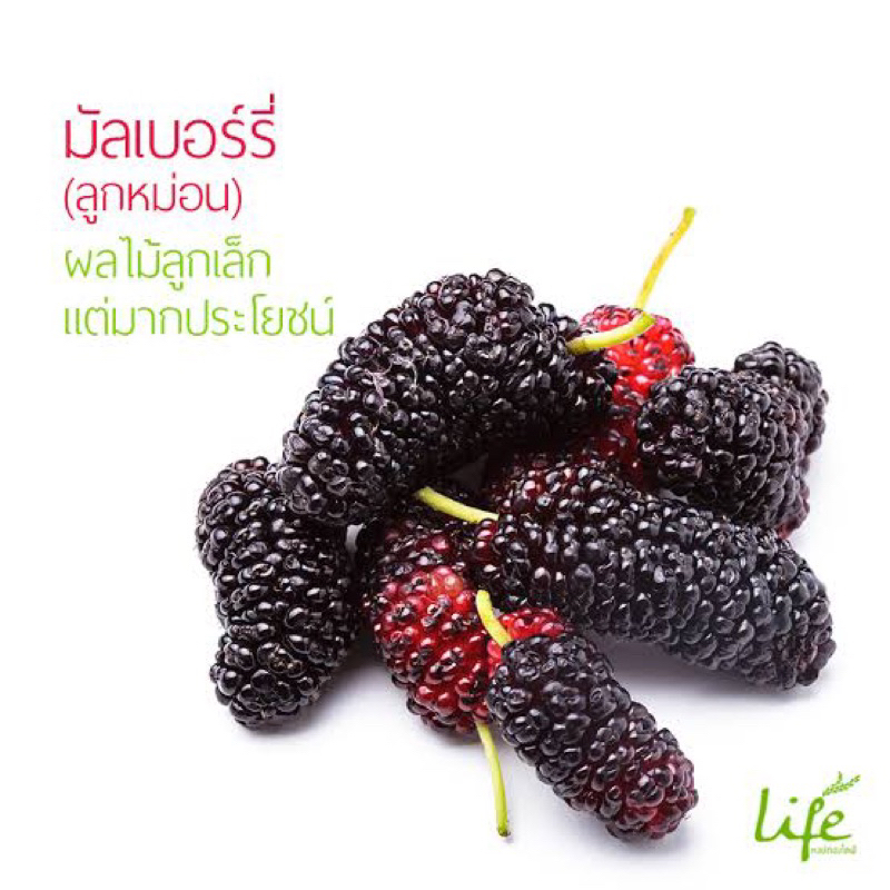 W/F ดอยคำ น้ำมัลเบอรี่(ลูกหม่อน ) 50%  ขนาด1ลิตร แท้ พร้อมส่ง fl doi kham mulberry juice 50% ราคา ถูกที่สุด ดีลบีเคเค แกลเลอรีภาพที่ 3