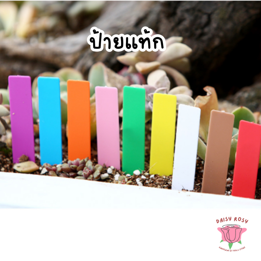 100ชิ้น ป้ายชื่อต้นไม้ ขนาด 5x1cm 10x2 cm สำหรับตกแต่งสวน เขียนชื่อต้นไม้ที่คุณรัก อุปกรณ์ตกแต่งสวน จัดสวน