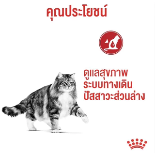 [Urinary 4KG] Royal Canin อาหารแมว ชนิดเม็ด URINARY ดูแลปัญหาทางเดินปัสสาวะ ขนาด 4KG