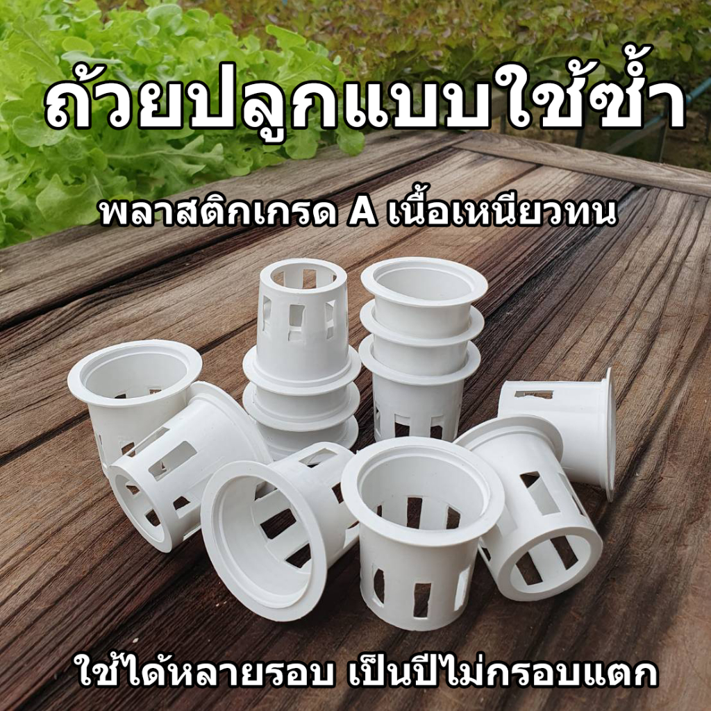 ถ้วยปลูกผักไฮโดรโปนิกส์ สีเขียว 80 หลุม เกรดA แบบหนา