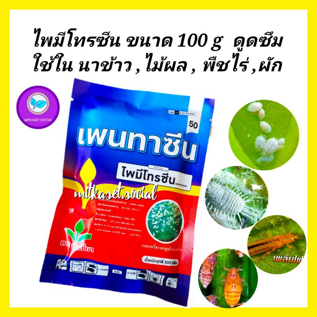 ไพรมีโทรซีน ขนาด 100 กรัม ไพมีโทซีน ไพมีโทรซีน สารเดียวกับ เพลนั่ม กำจัดเพลี้ยกระโดด เพลี้ยไฟ เพลี้ยจั๊กจั่น เพลี้ยไฟ