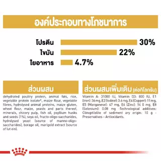 Royal Canin อาหารเม็ดแมว รวมทุกสูตร ขนาด 2kg. /1.2kg. รวมทุกสูตร มี 2 ไซส์ 2kg และ 1.2kg.โรยัล คานิน