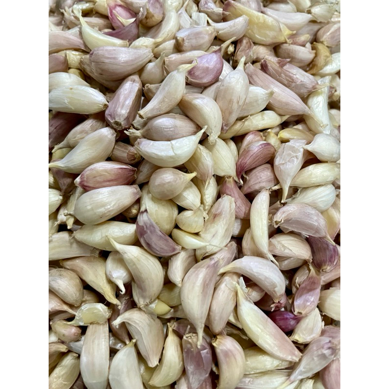 กระเทียมไทยกลีบเล็ก 500g,1kg (คัดพิเศษ)