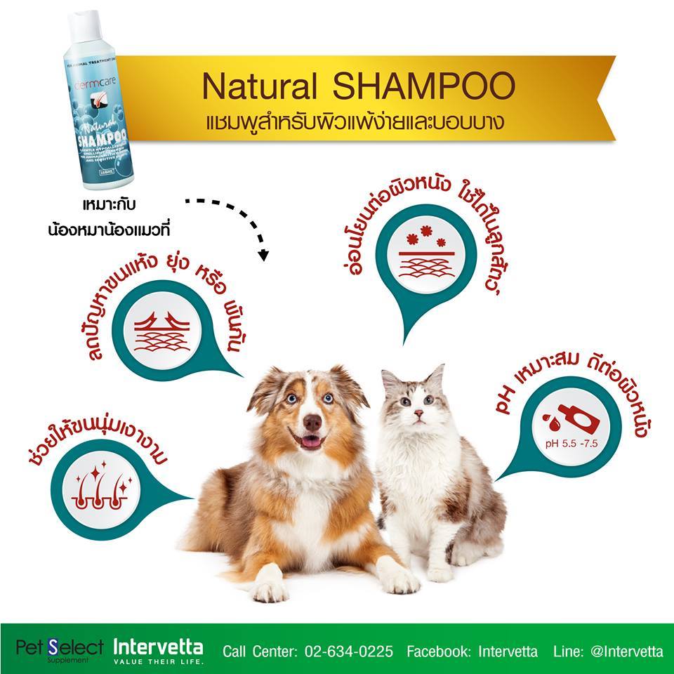 รูปภาพ 2