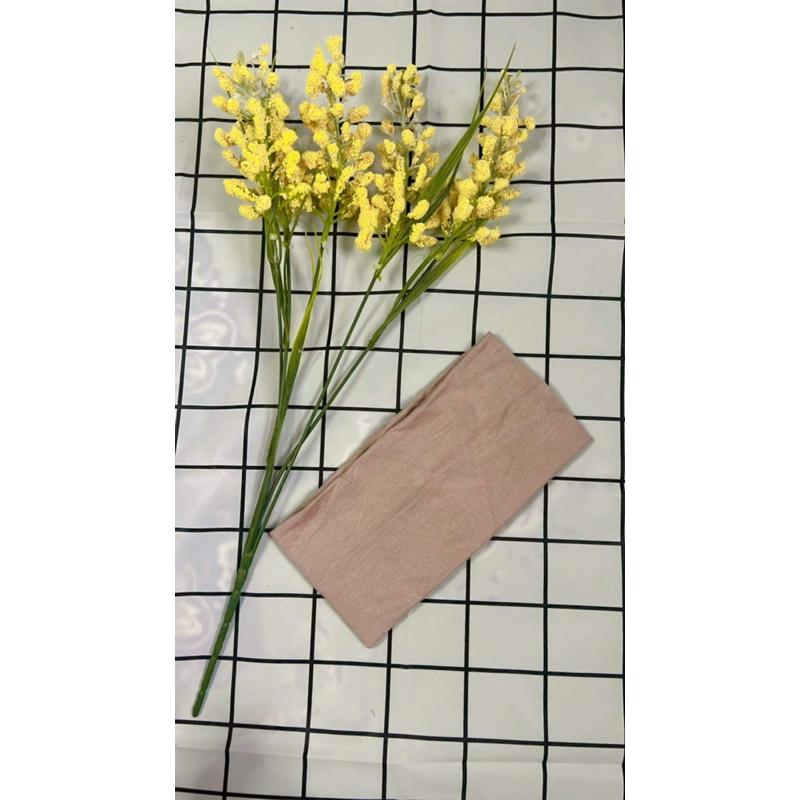 รูปภาพ 5