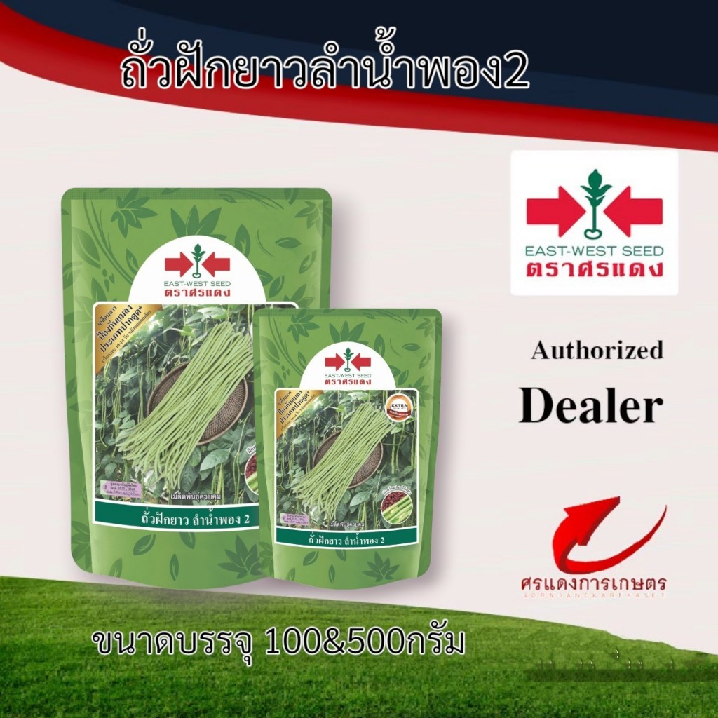 ถั่วฝักยาวลำน้ำพอง2(เมล็ดเคลือบ) 100g 500 กรัม  #ถั่วฝักยาว #เมล็ดพันธุ์ถั่วฝักยาว #ขายเมล็ดพันธุ์ #ขายส่งเมล็ดพันธุ์
