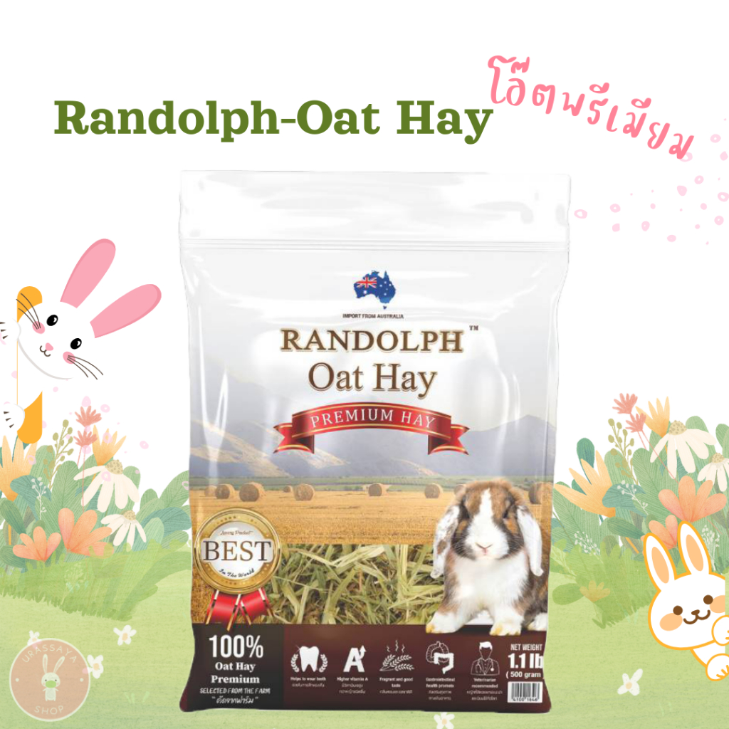Randolph-Oat Hay หญ้าโอ๊ตคุณภาพสูงใหม่สดจากฟาร์ม