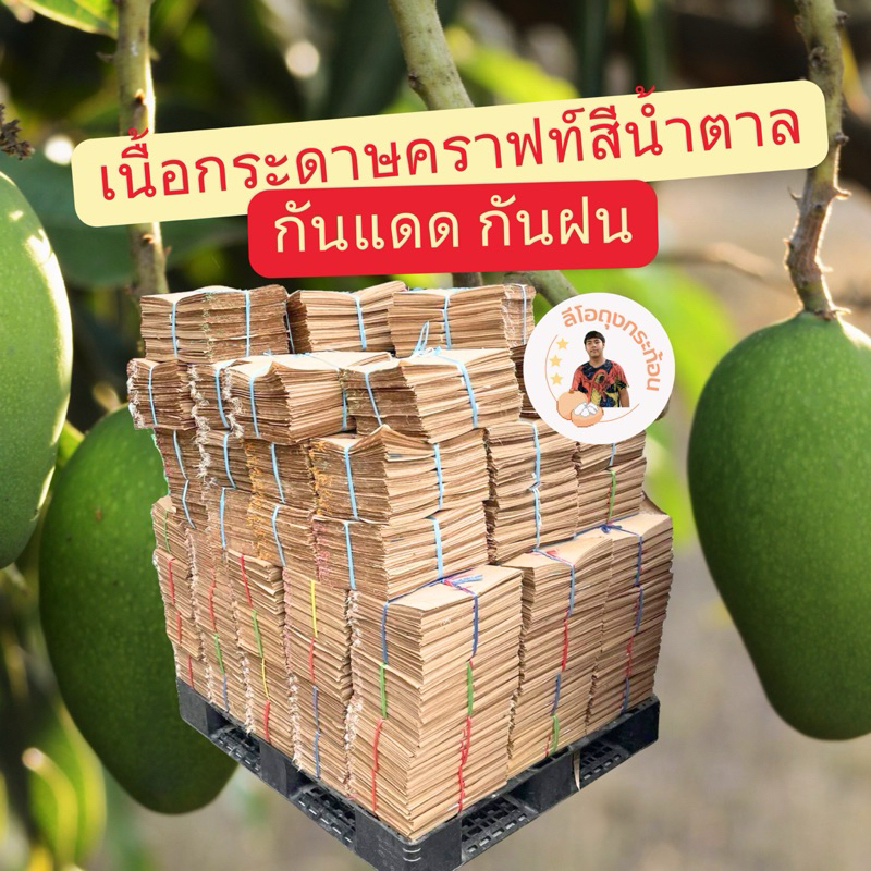 ถุงห่อมะม่วง ถุงห่อกระท้อน ถุงห่อผลไม้ ขนาด 25*34 ซม. 1แพ็คมี100ใบ - รูปที่ 3