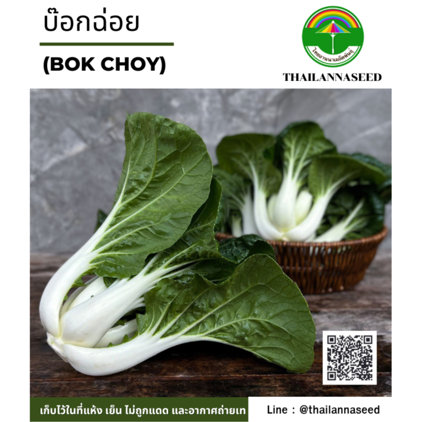 เมล็ดพันธุ์ผักสวนครัว บ๊อกฉ่อย ( ขนาด 0.5 กรัม ) รหัสสินค้า 6040