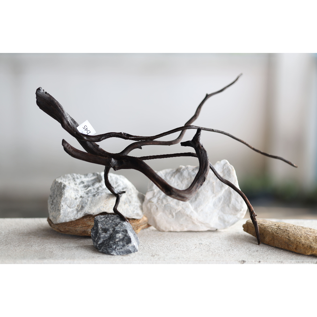 ขอนไม้ กิ่งไม้   ตู้ปลา - กุ้ง  Set b