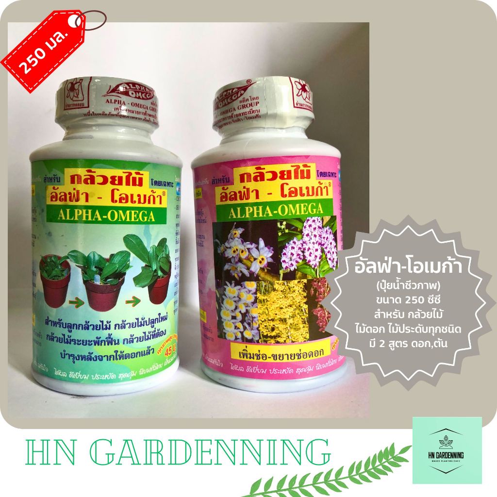 อัลฟ่า-โอเมก้า กล้วยไม้ เร่งดอก เพิ่มช่อ ต้นเขียว ใบ เขียว บำรุงต้นอ่อน ปุ๋ยชีวภาพน้ำ ปุ๋ยอิยทรีย์น้ำ