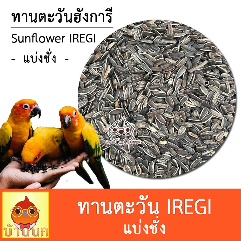 ทานตะวัน ฮังการี Iregi แบ่งชั่ง (Roland) อาหารนก แฮมสเตอร์ นกแก้ว ซัน คอกคาเทล เลิฟเบิร์ด