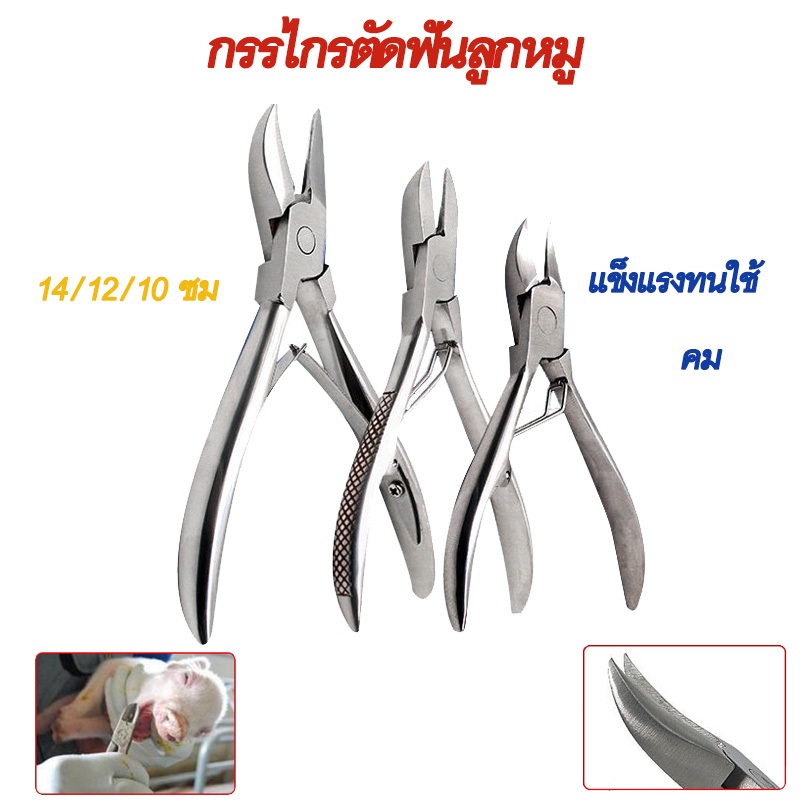 กรรไกรตัดฟันหมู กรรไกรตัดเขี้ยวหมู คีมตัดฟันหมู สแตนเลส ขนาด 10ซม./12ซม./14ซม.