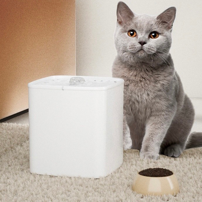 ✨New✨ น้ำพุแมว น้ำพุสัตว์เลี้ยง 3L เครื่องให้น้ำแมว น้ำพุแมวสัตว์เลี้ยงอัตโนมัติ #P033