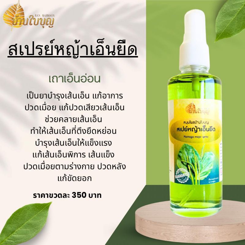 หญ้าเอ็นยืดบ้านใบบุญ