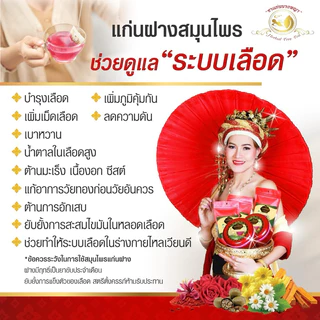 💗พร้อมส่ง💗*ของแท้* แก่นนางพญา ✅ชาสมุนไพรบำรุงเลือด ขับประจำเดือน เสริมภูมิ วัยทอง ประจำเดือนมาไม่ปกติ โลหิตจาง