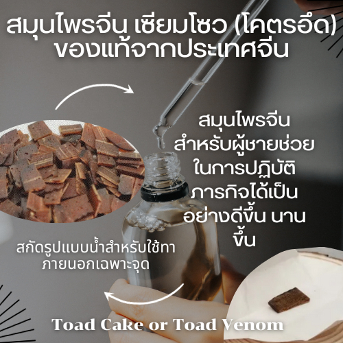 ชลอการหลั่งชาย ดำตานีเข้มข้น แท้100% เกล็ดมังกร หรือ เซียมโซว ในขวดแก้ว เพิ่มระยะเวลารัก ให้ยาวนาน