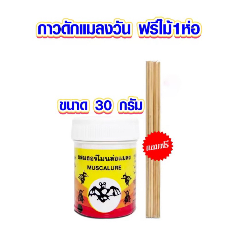 1กป.กาวดักแมลงวัน กาววิทยาศาสตร์ ดักจับแมลงวันตราค้างคาว ผสมฮอร์โมนล่อแม่ลง MUSCALURE พร้อมไม้ติดกาว 30 กรัม
