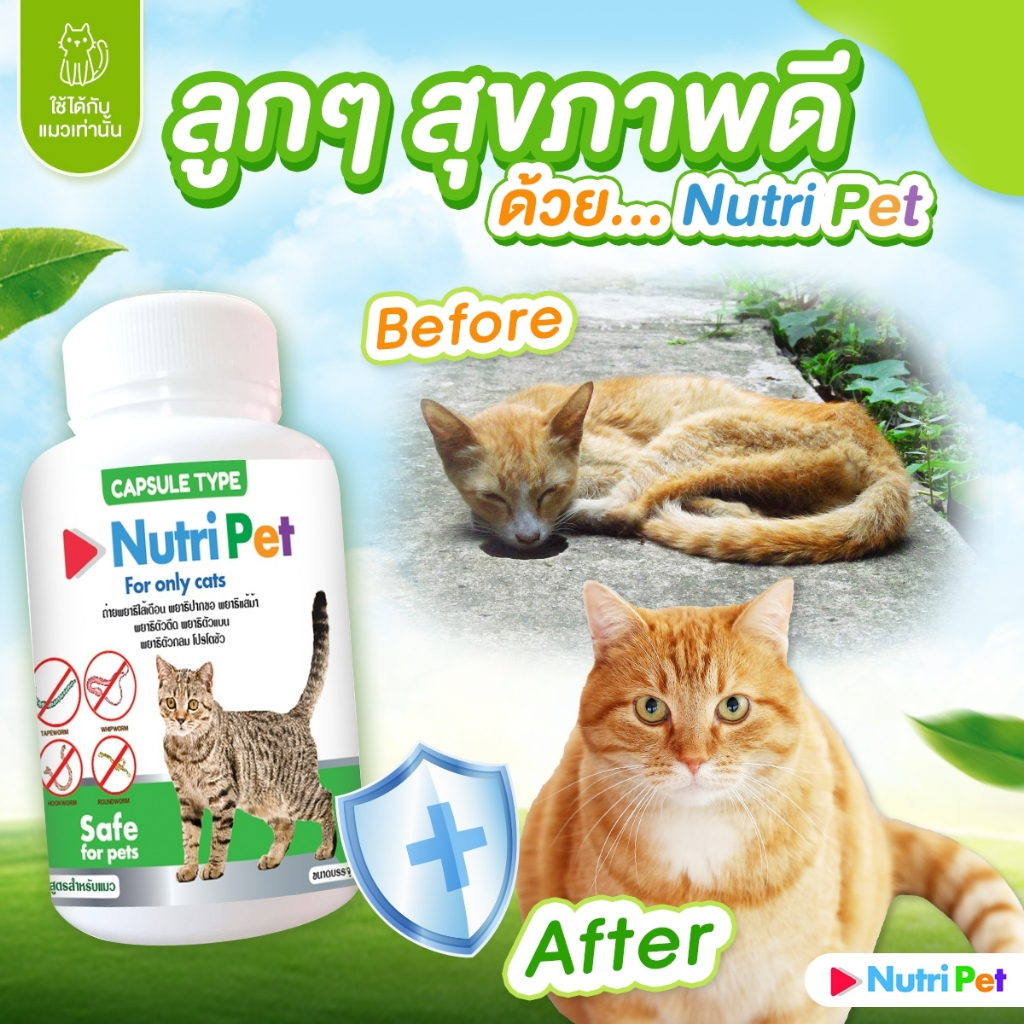 เสริมอาหารดูแลแมว สร้างภูมิคุ้มกัน ป้องกันปรสิต ชนิดแคปซูลโรยอาหาร สำหรับแมว