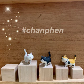 ลูกเต๋าไม้ บล็อกไม้ ไม้แท่งสี่เหลี่ยม ไม้ยางพารา สำหรับงานเฟอร์นิเจอร์ งานไม้ DIY ทำฉาก ทำพร็อพ งานศิลปะ มีหลายขนาด