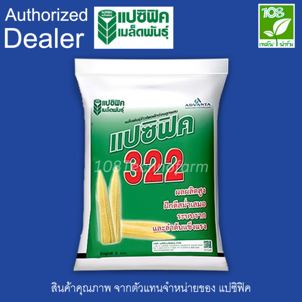 เมล็ดพันธุ์ข้าวโพดฝักอ่อน 322 ผลผลิตสูง ฝักดีสม่ำเสมอ ระบบรากและลำต้นแข็งแรง ขนาด 5 กิโลกรัม