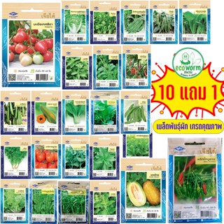 เมล็ดพันธ์ผัก ผักผล เจียไต๋ ผักสวนครัว ผักชี ต้นหอม