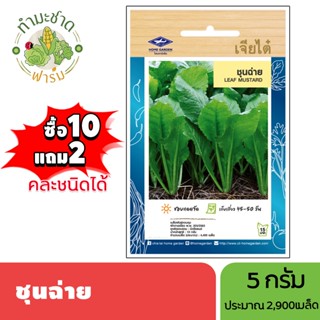 เจียไต๋ (ซื้อ10แถม2) เมล็ดพันธุ์ ชุนฉ่าย ขนาด5กรัม ประมาณ2,9…
