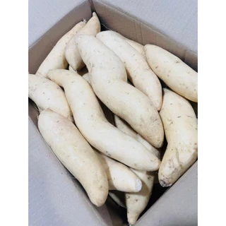 มันหวานมันขาวผักกาดแบบยกกล่อง5กิโลกรัมในราคา190บาทเท่านั้น (คัดไซส์ คัดแมง ไร้สารเคมี) หัวสวยๆจากไร่ชมมณี