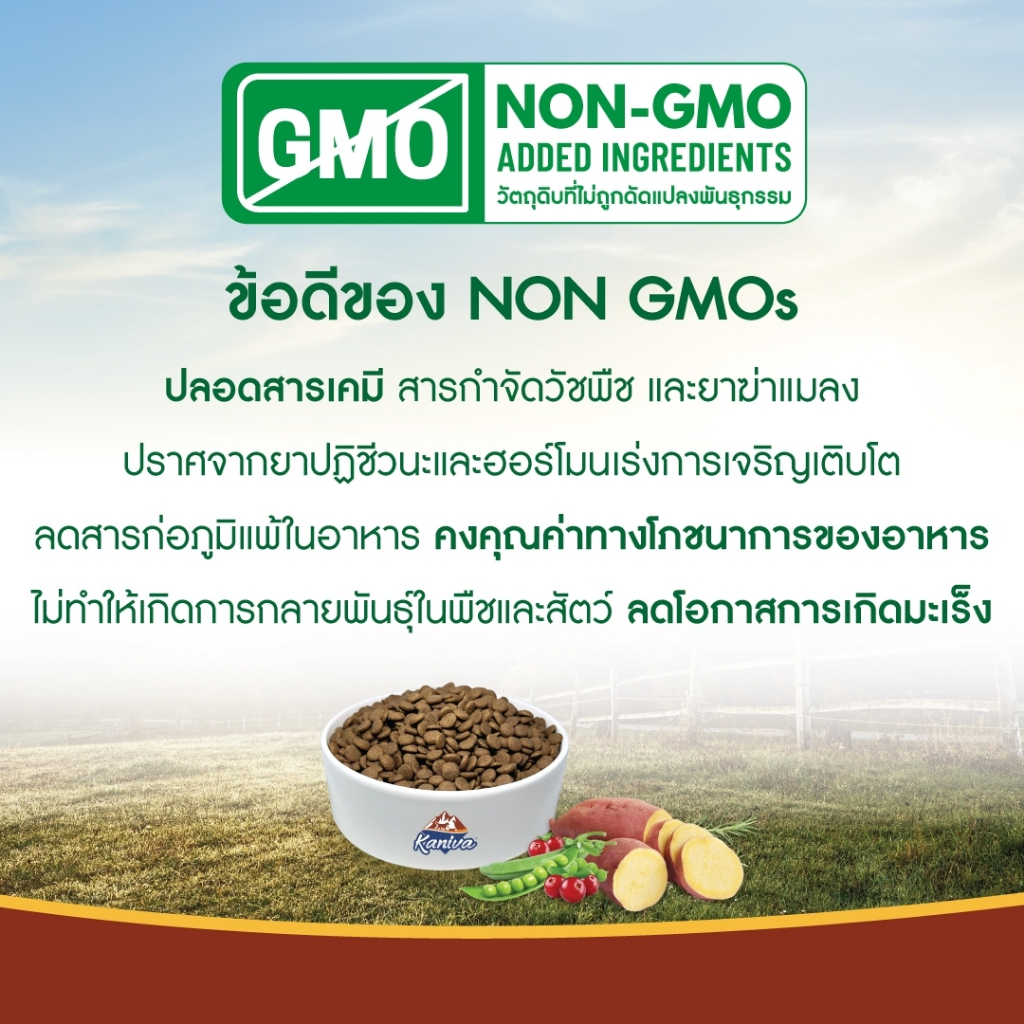 Kaniva Grain Free Salmon 7 KG. อาหารแมว สูตรเกรนฟรี เนื้อปลาแซลมอนและปลาทูน่า - รูปที่ 4