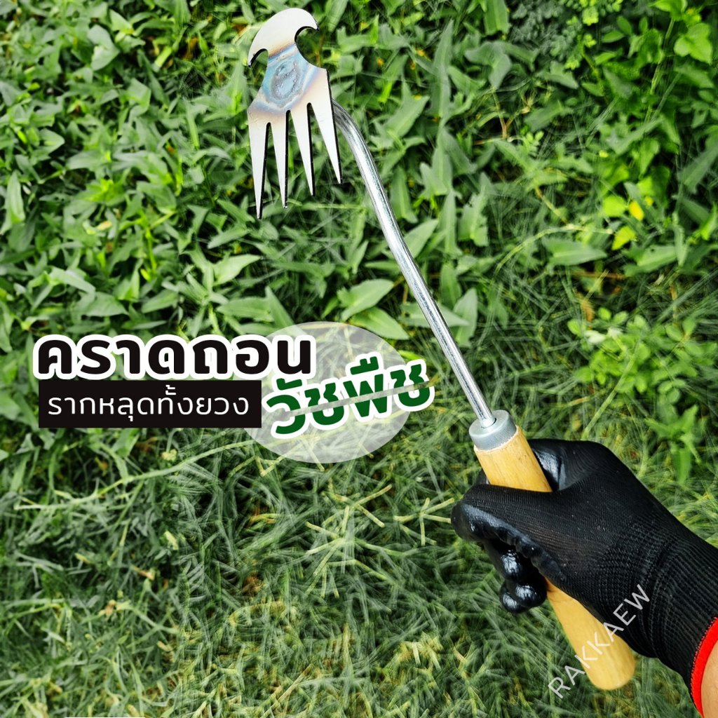 คราดถอนวัชพืช ด้ามไม้เคลือบเงา ทำจากเหล็กแมงกานีสอย่างหนา แข็งแรงทนทาน ด้ามจับไม้เคลือบเงา