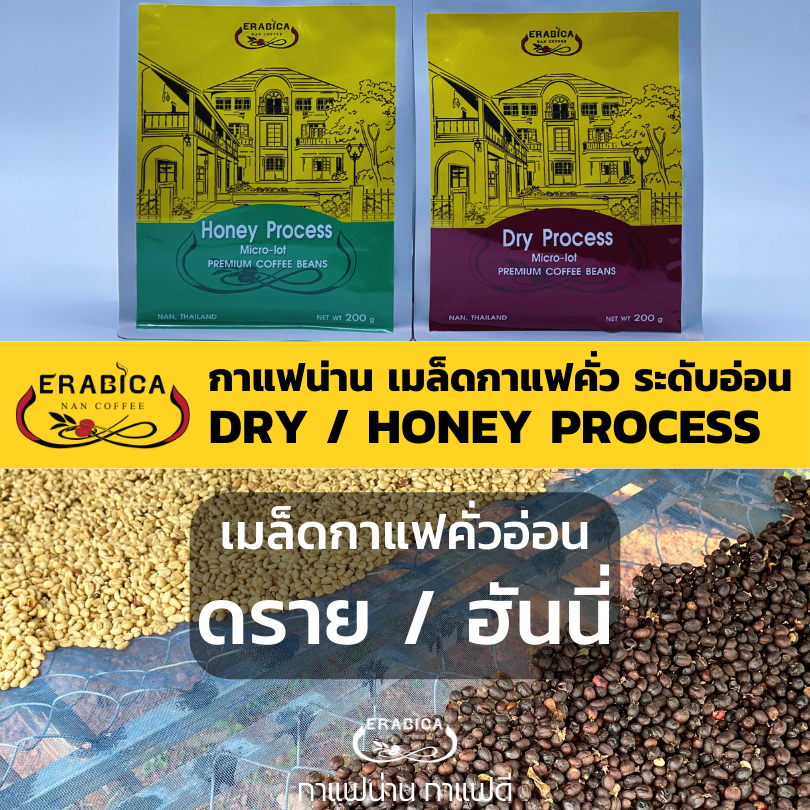 กาแฟคั่วอ่อน ดราย / ฮันนี่ กาแฟน่าน อาราบิก้าแท้ 100% คัดคุณภาพ Erabica Coffee (Dry / Honey Process)
