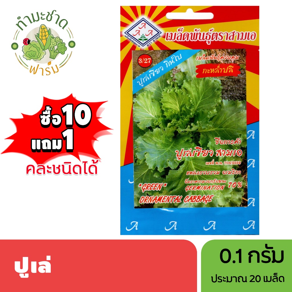 3A (ซื้อ10แถม1) เมล็ดพันธุ์ ปูเล่ ขนาด0.1กรัม ประมาณ20เมล็ด ORNAMENTAL CABBAGE เคล เมล็ดพันธุ์พืช เมล็ดผัก