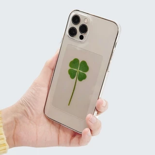 [พร้อมส่งของแท้] 🍀ใบโคลเวอร์ 4 แฉก พร้อมซองทอง แบบร้านคุณลุง จากเกาหลี ใบโคลเวอร์ เคลือบการ์ด clover leaf