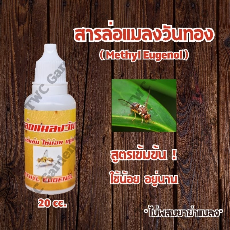 สารล่อแมลงวันทอง เมทิลยูจินอล (Methyl Eugenol) สูตรเข้มข้นและปลอดภัย ดักจับแมลงวันทอง แมลงวันผลไม้ กับดักแมลงวันทอง