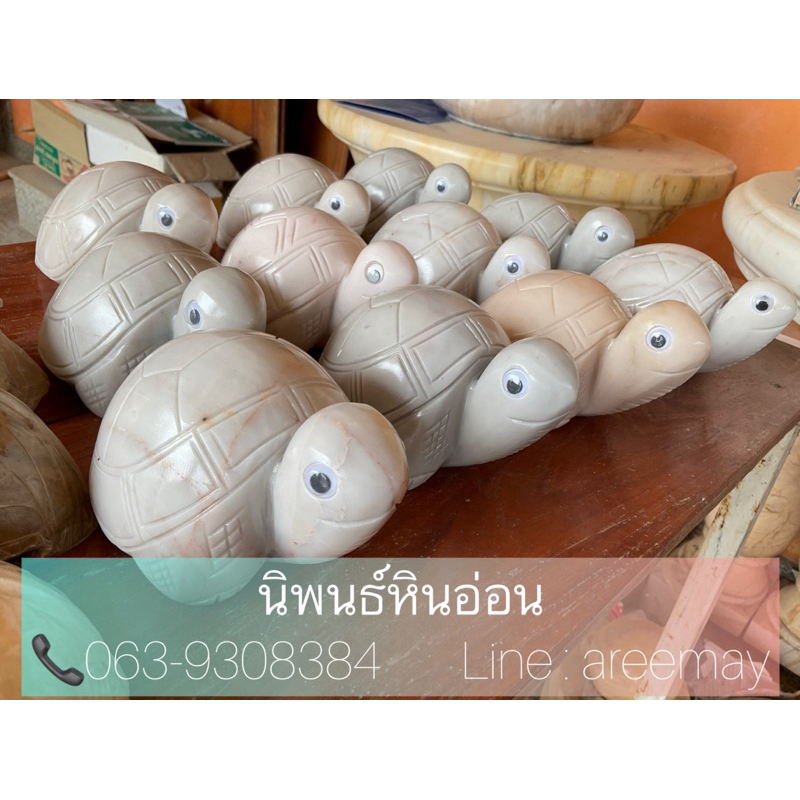 เต่าหินอ่อน เต่าตาแบ๊ว/ตัว