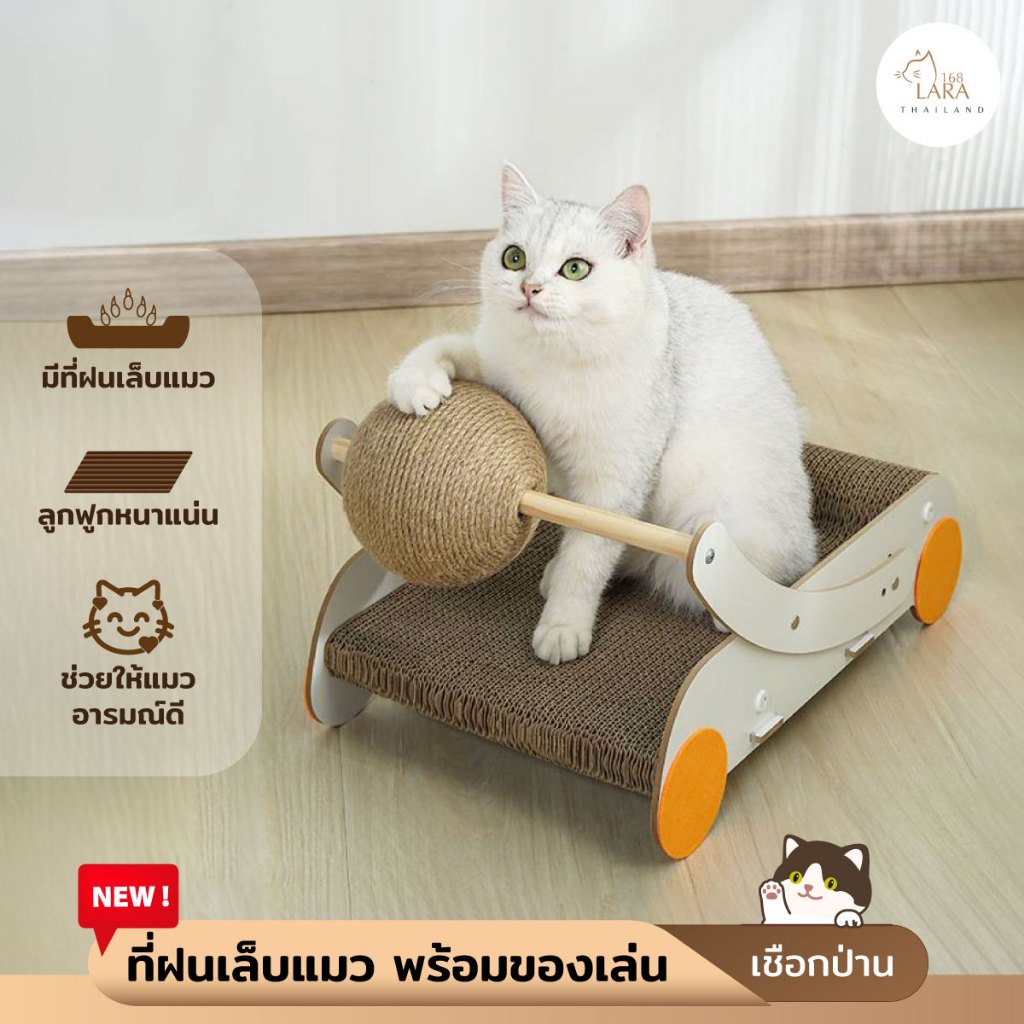 New!! ที่ฝนเล็บแมว พร้อมของเล่นลูกบอลเชือกป่าน (E28)