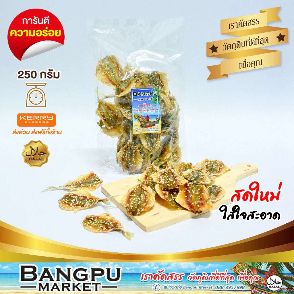 รวมมิตร ปลาทะเลแปรรูป ตากแห้ง ปลากะตัก ปลาข้าวสาร ปลาซิวแก้ว ปลาเกล็ดข้าว ปลาหลังเขียว ปลากระเบนวงปลาแมว Tuyo Dried fish thumbnail 7