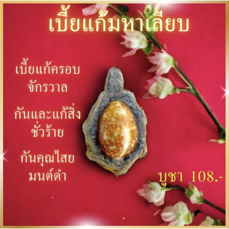เบี้ยแก้สำนักมหาเลียบ
