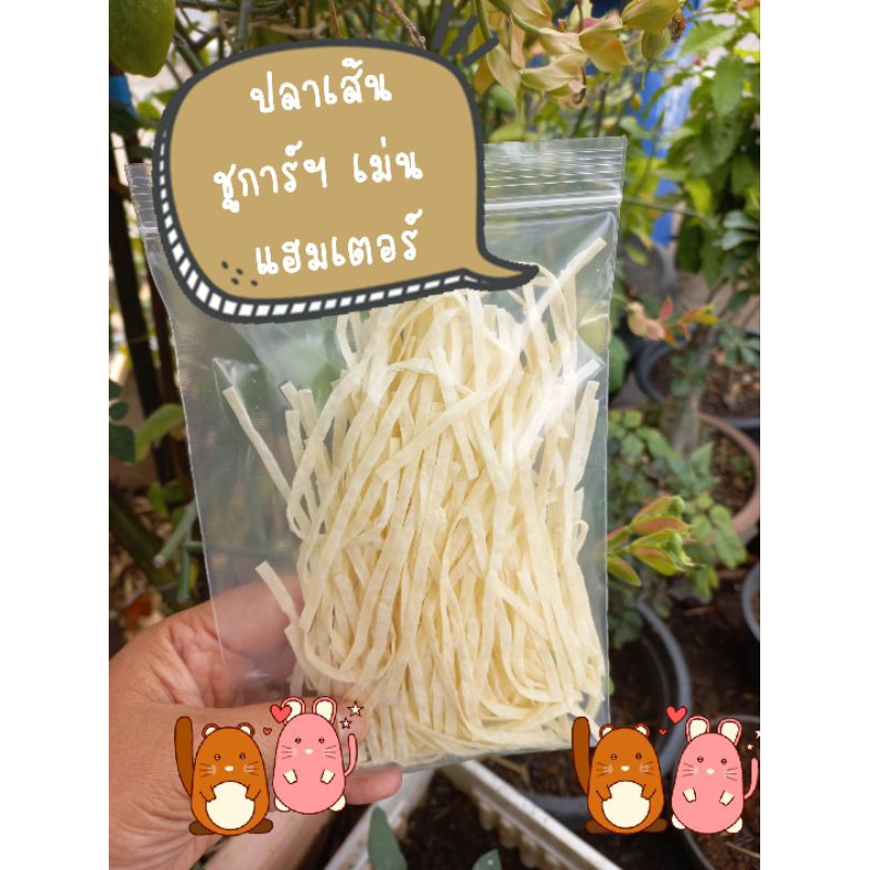 ปลาเส้น แฮมเตอร์ ชูการ์ไรเดอร์ เม่นแคระฯ มีโปรตีน วิตามิน แคลเซียม