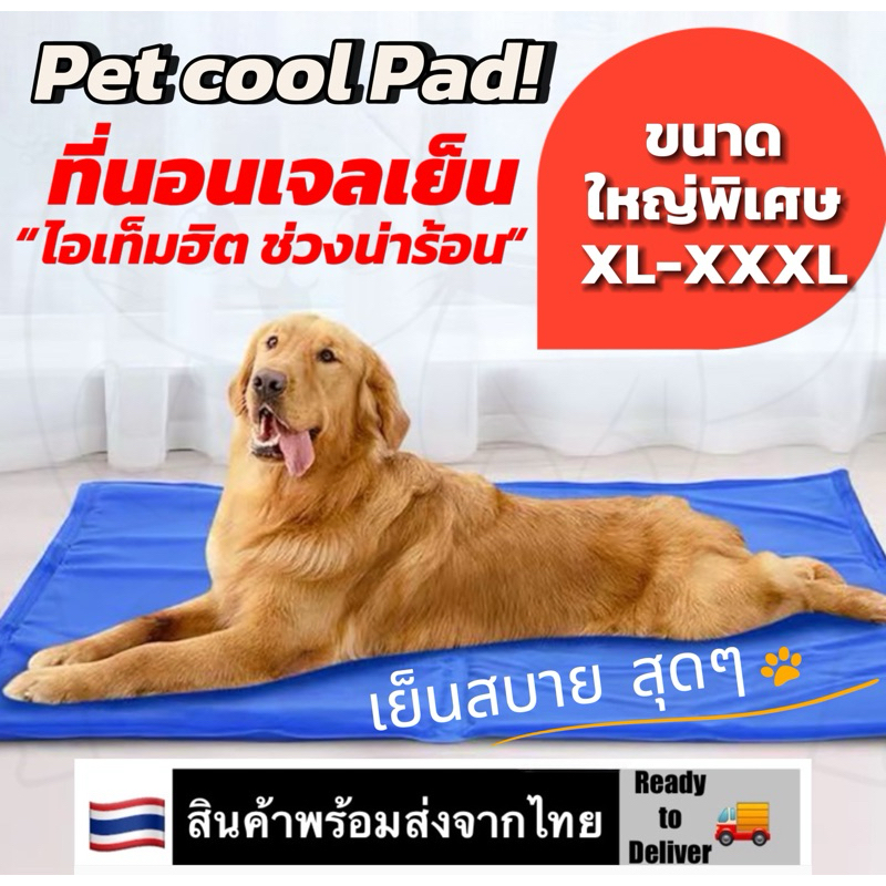 🔥ขายดีที่สุด ที่นอนเจลเย็นสําหรับสัตว์เลี้ยง Dog Cat Cooling Mat Pad Cooling Gel Pad Mat Elderly Patient 🔥Large Sizes🔥