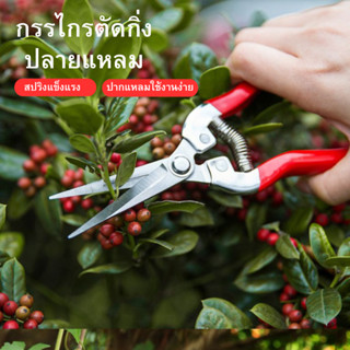 ปลีก/ส่ง กรรไกรตัดกิ่งดอกไม้ ปลายแหลม ตัดเก็บผลไม้จากต้น ทำจ…